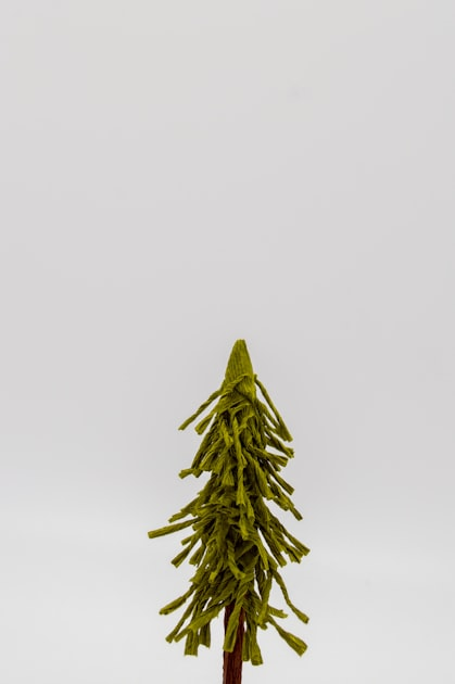 Why Choose Tios Tree Service?